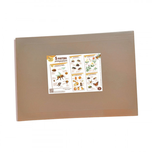 Kit de 5 posters pédagogiques