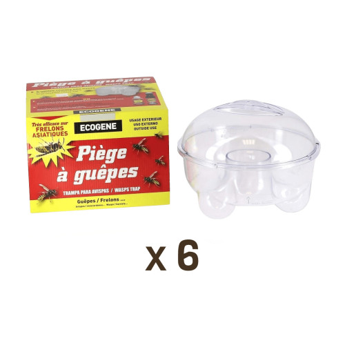 Lot de 6 pièges à guêpes et mouches de terrasse transparents