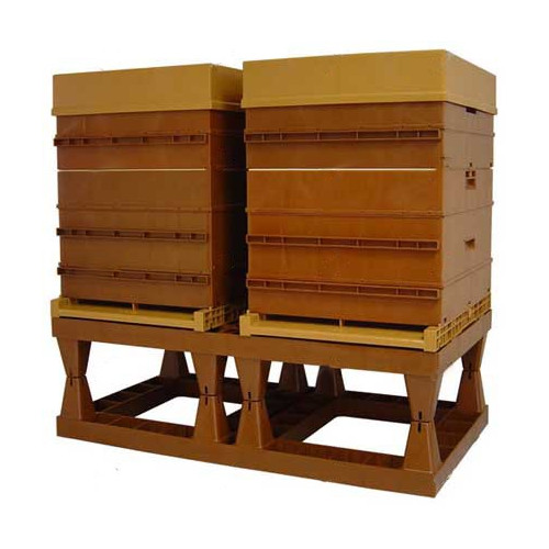 Palette support Nicot pour 2 ruches
