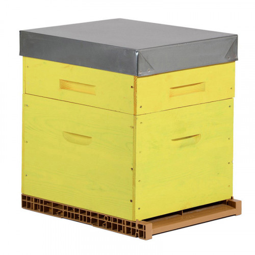 Ruche colorée Dadant 10 cadres + Hausse & Fond aéré