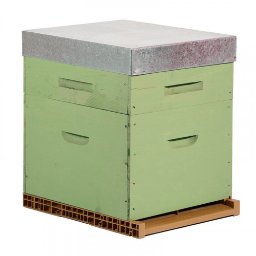 Ruche colorée Dadant 10 cadres + Hausse & Fond aéré