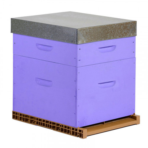Ruche colorée Dadant 10 cadres + Hausse & Fond aéré