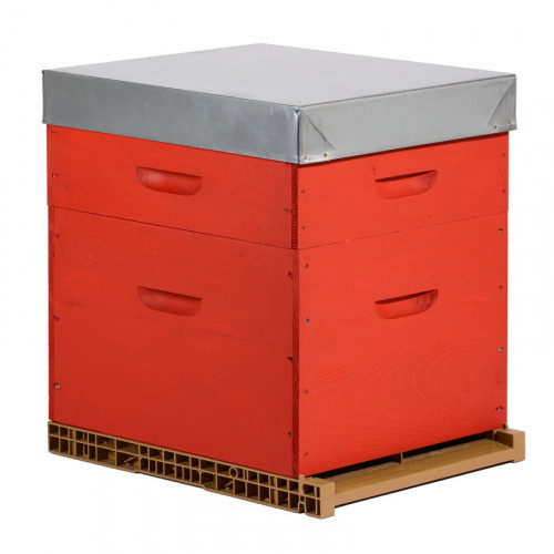 Ruche colorée Dadant 10 cadres + Hausse & Fond aéré