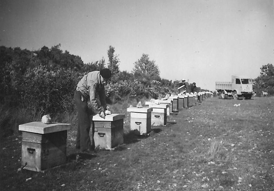 Paul Lombard, Eygui&egrave;res 1965