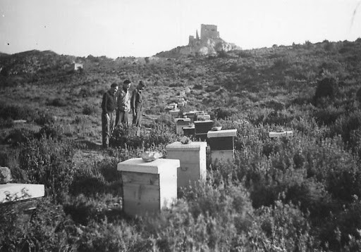 Paul Lombard, Eygui&egrave;res 1963
