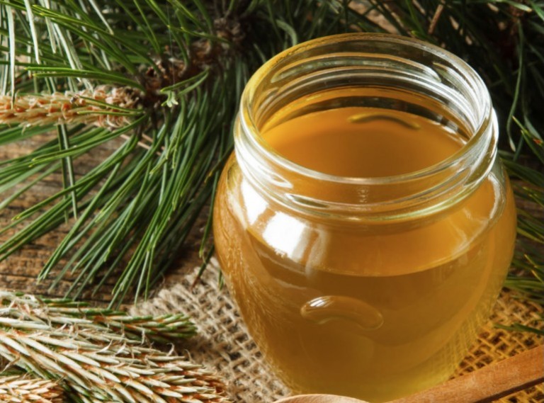 Tout savoir sur le miel de sapin