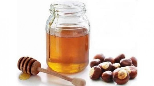 Tout savoir sur le miel de châtaignier