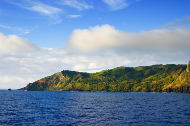Tout savoir sur le miel de Pitcairn