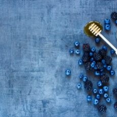 Tout savoir sur le miel de Ronce