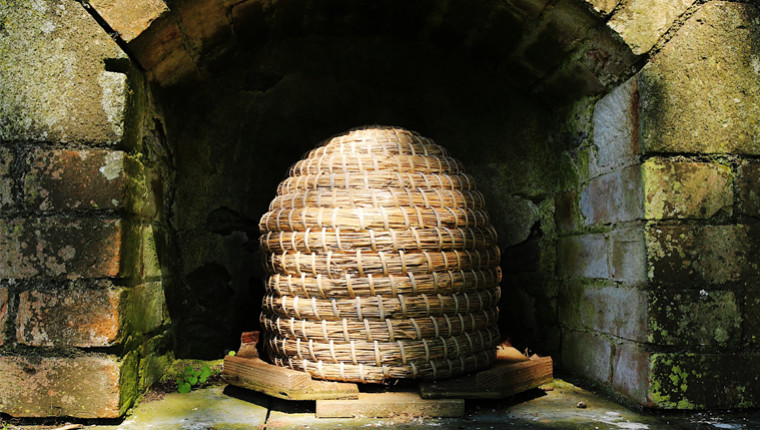 Le mur des abeilles de Cornillon-Confoux