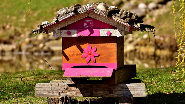 5 idées créatives pour vos ruches