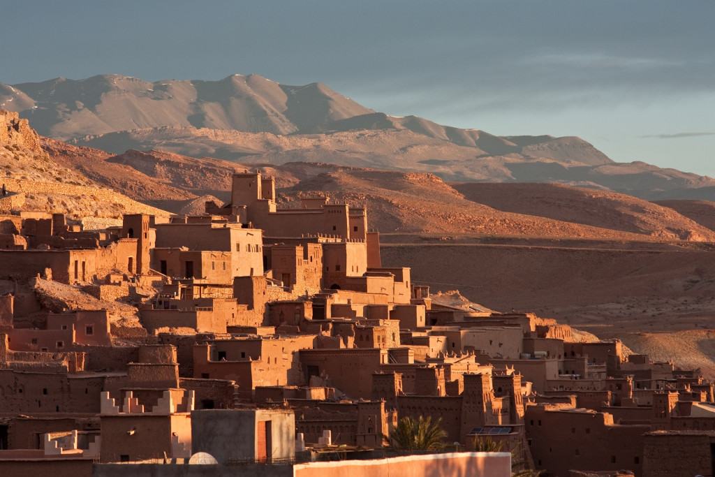Maroc : la production de miel en baisse en raison du changement climatique
