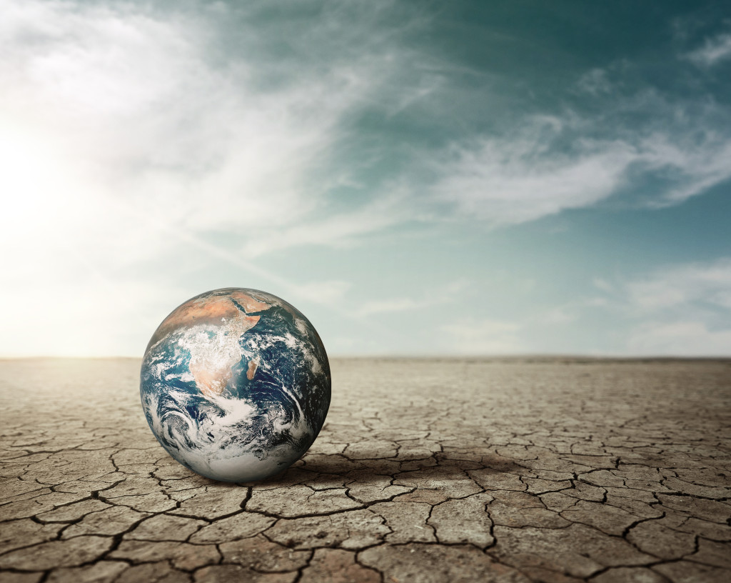 APIdays 2024 : sensibiliser à l'impact du changement climatique sur les abeilles