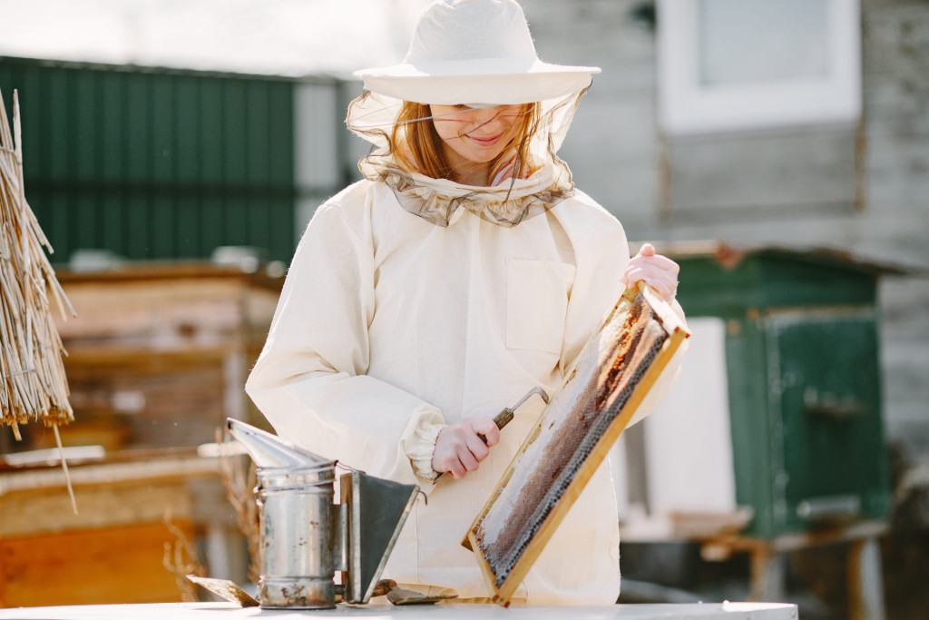L’apiculture urbaine en plein essor : opportunités et défis pour les apiculteurs