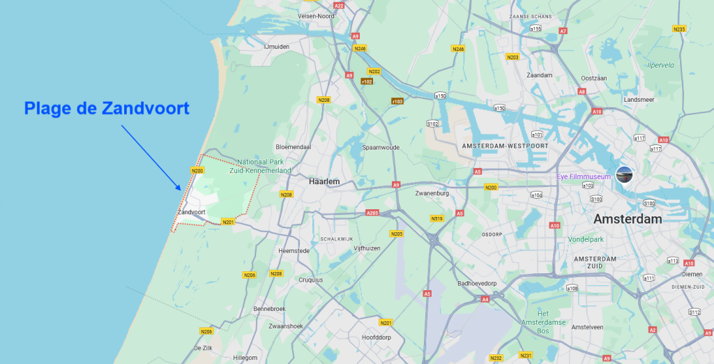 5 000 abeilles sous un parasol à Zandvoort : la plage surprise par un essaim