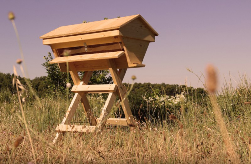 Les différents types de ruches : le guide complet pour bien débuter